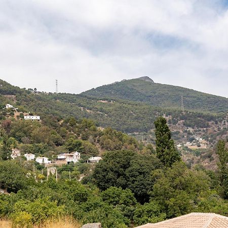 Malagasuite Cortijo Robles Casarabonela エクステリア 写真
