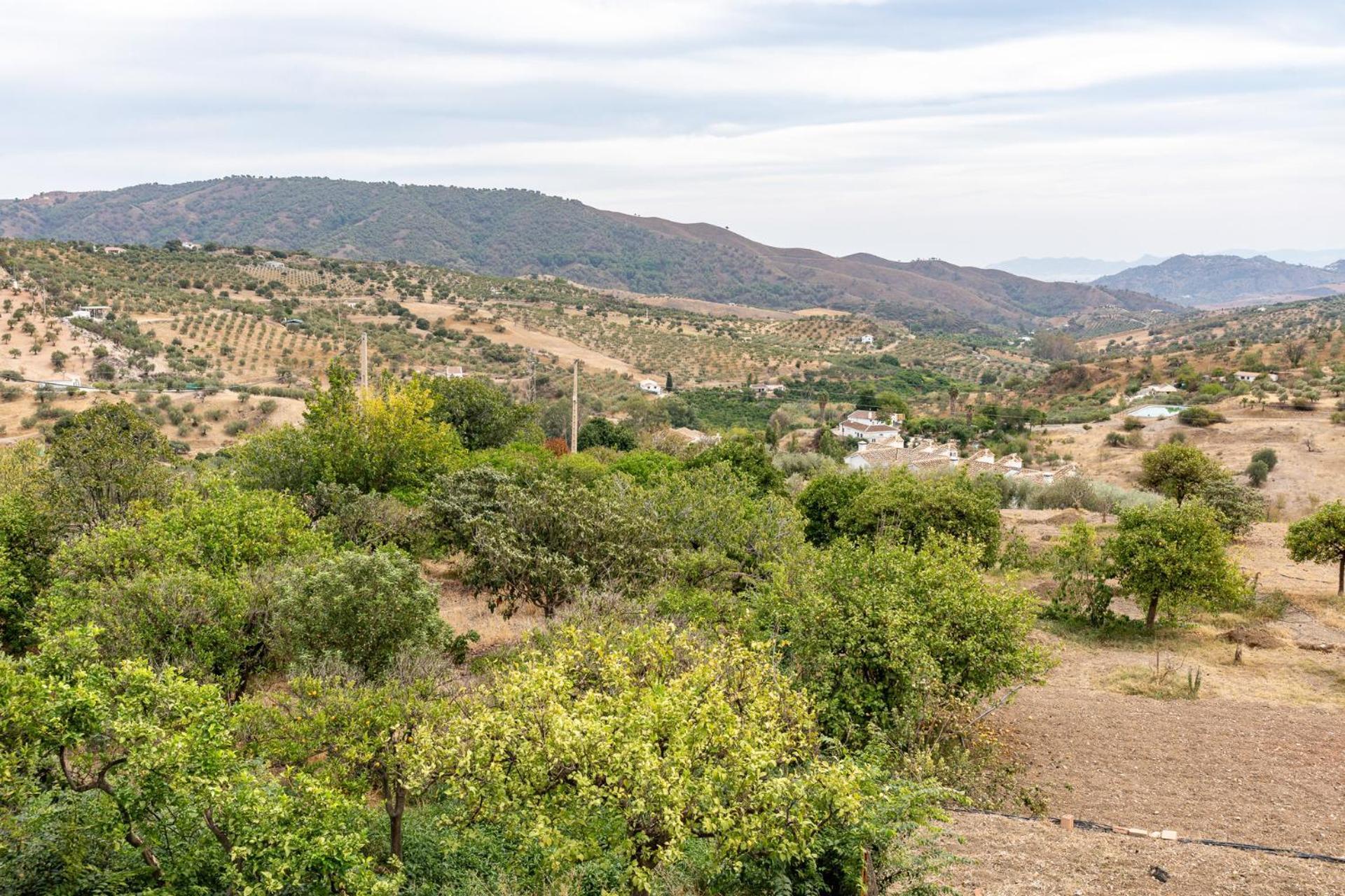 Malagasuite Cortijo Robles Casarabonela エクステリア 写真