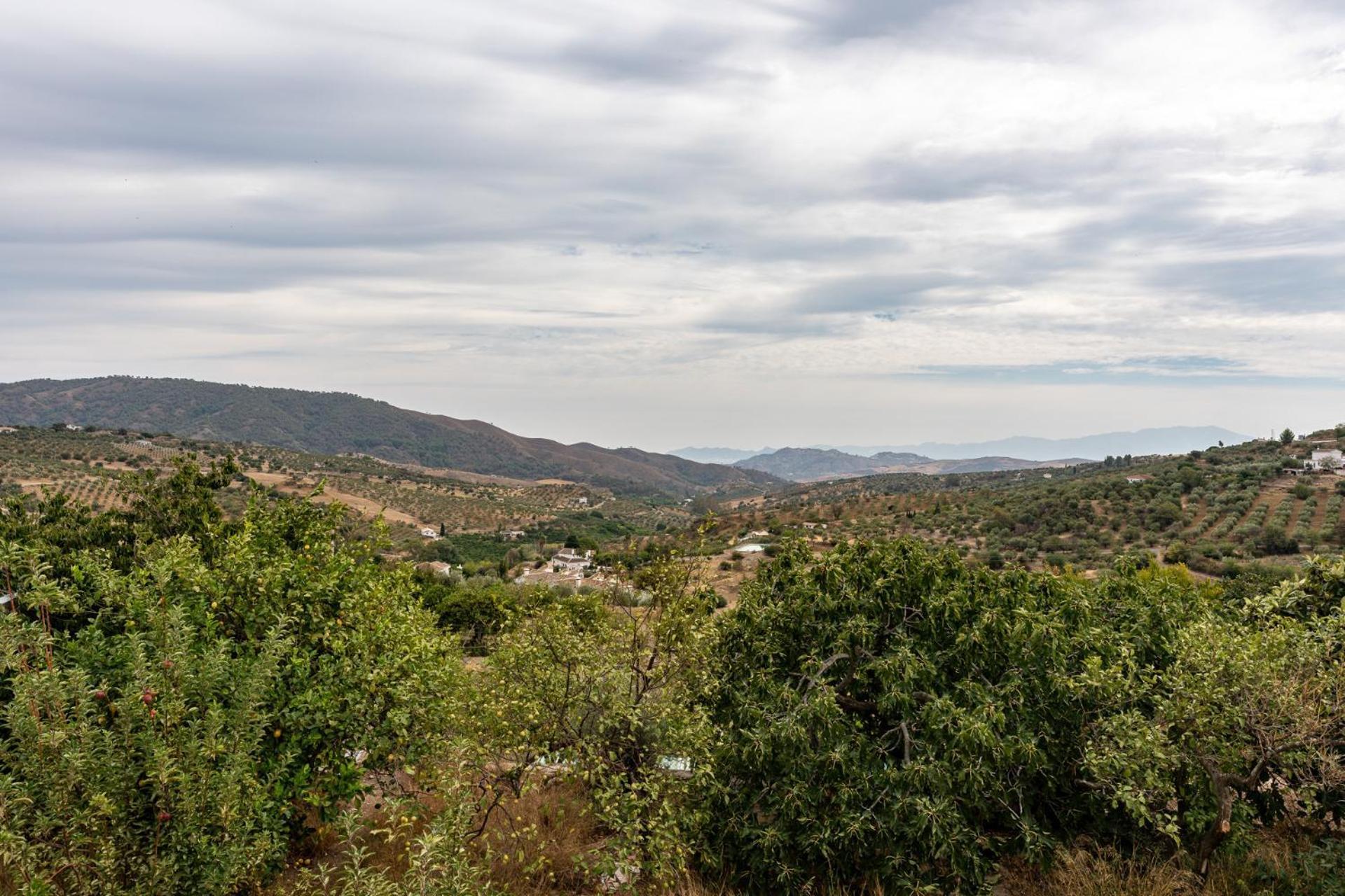 Malagasuite Cortijo Robles Casarabonela エクステリア 写真