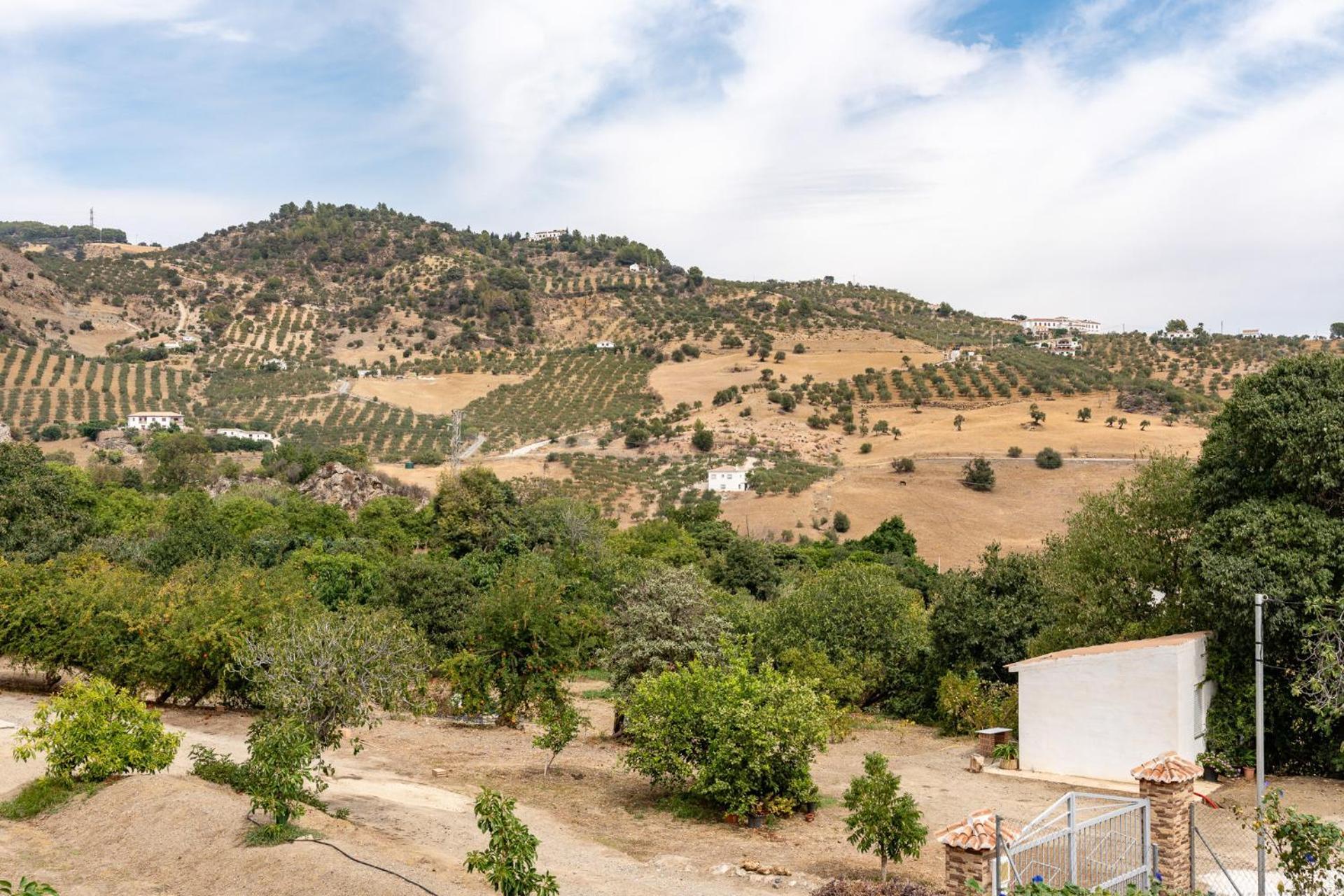 Malagasuite Cortijo Robles Casarabonela エクステリア 写真