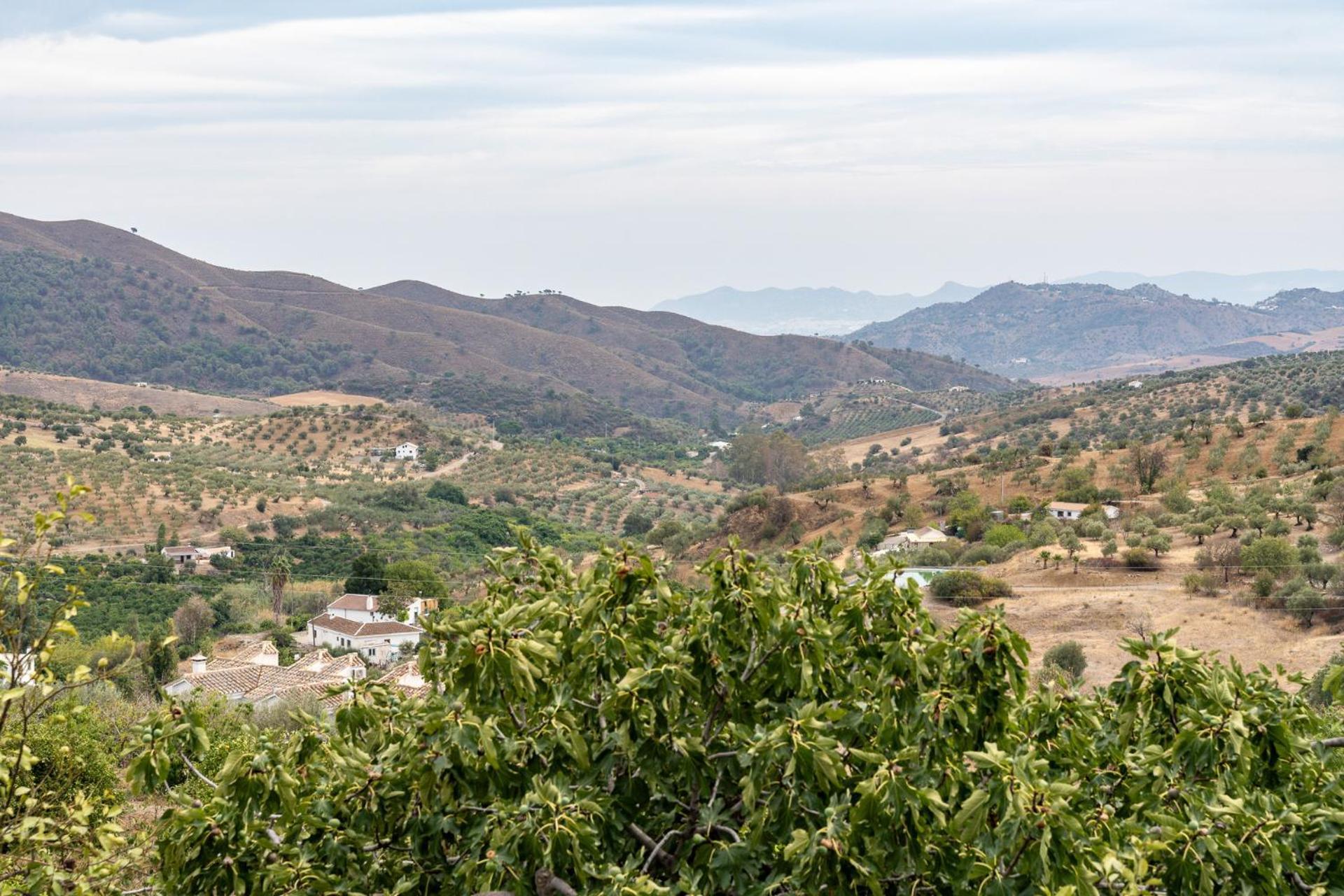 Malagasuite Cortijo Robles Casarabonela エクステリア 写真